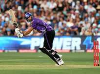 淋漓尽致 淋漓尽致